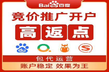 专业sem托管服务案例，揭秘广告投放优化策略